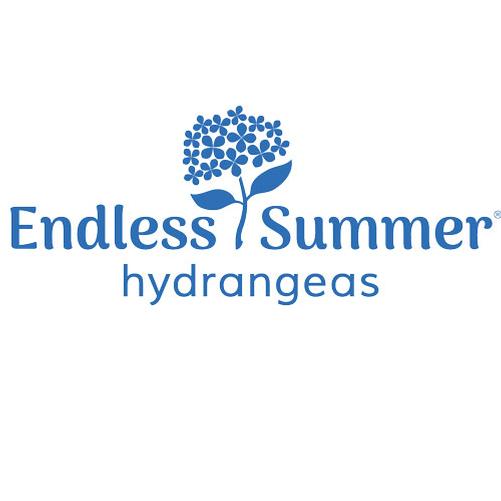 Endless Summer® Hydrangeas