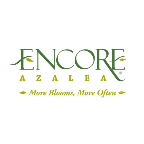 Encore® Azalea