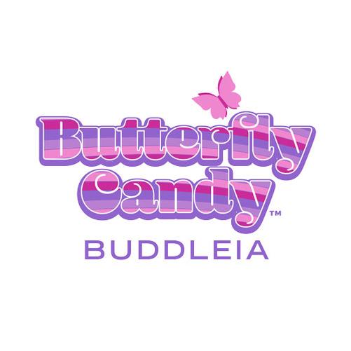 Butterfly Candy®