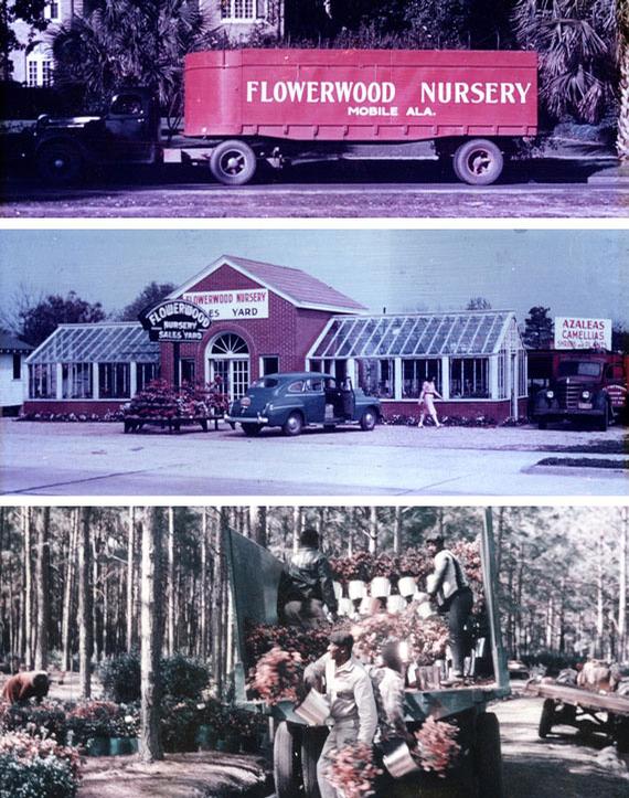 Flowerwood History Flowerwood History