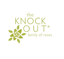 Knock Out® Roses Knock Out® Roses